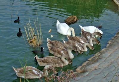 Прикрепленное изображение: bDSCF5896.jpg